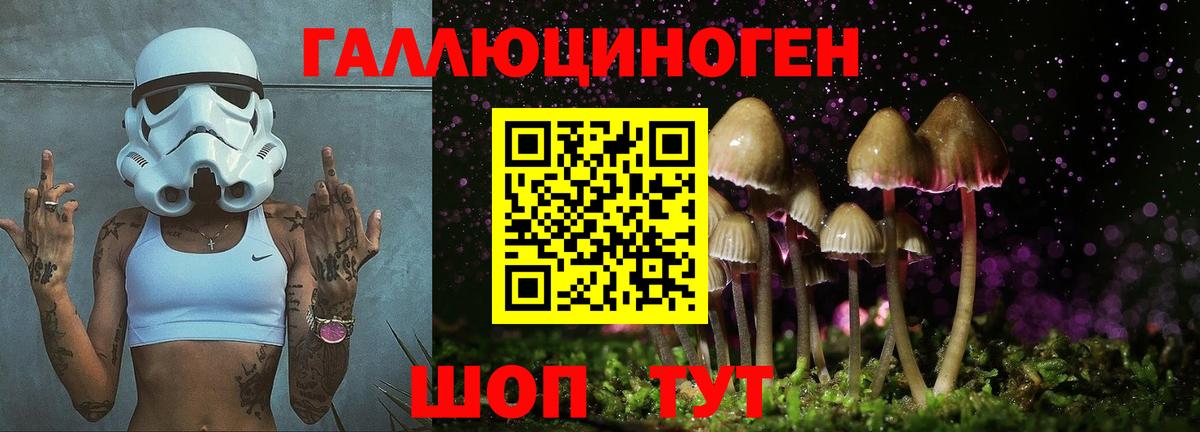Кимовск  Галлюциногенные грибы мухоморы  Псилоцибиновые грибы прущие грибы  Вход с VPN 